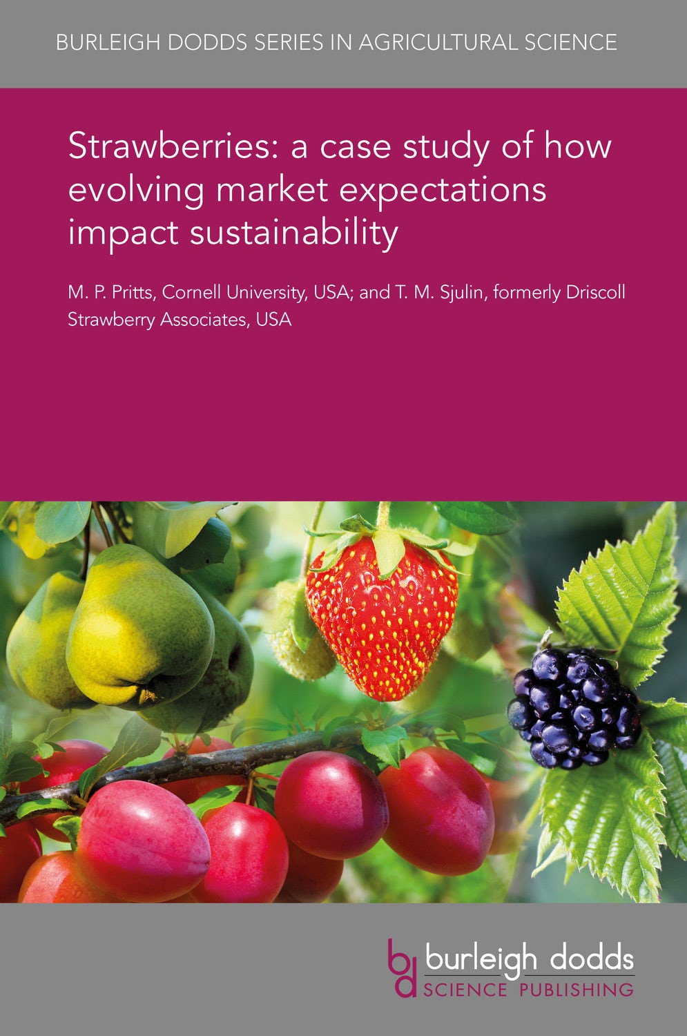 Book cover image for Strawberries: a case study of how evolving market expectations impact sustainability ISBN: 9781838798161